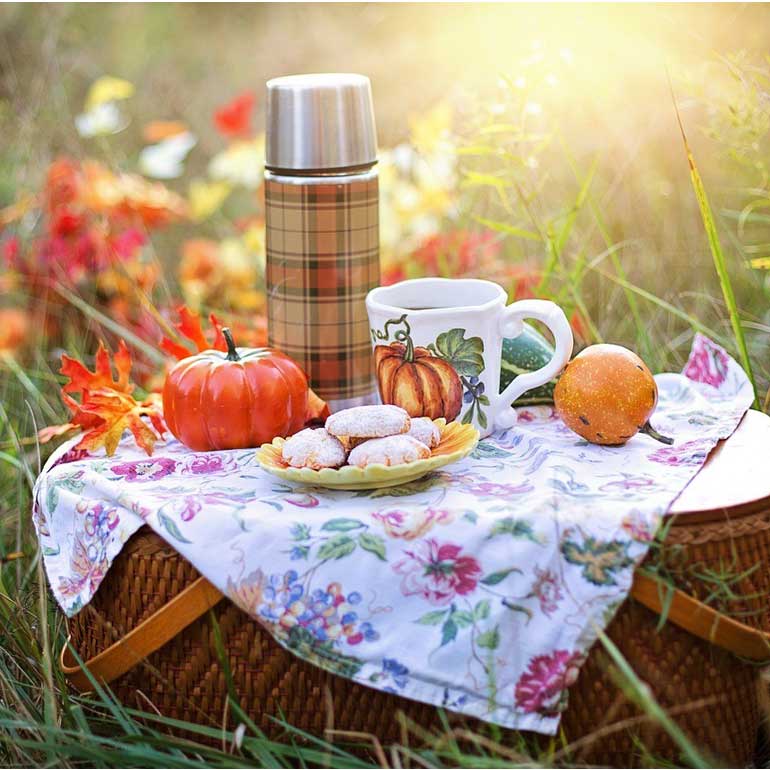 Tips voor het organiseren van een picknick in je achtertuin