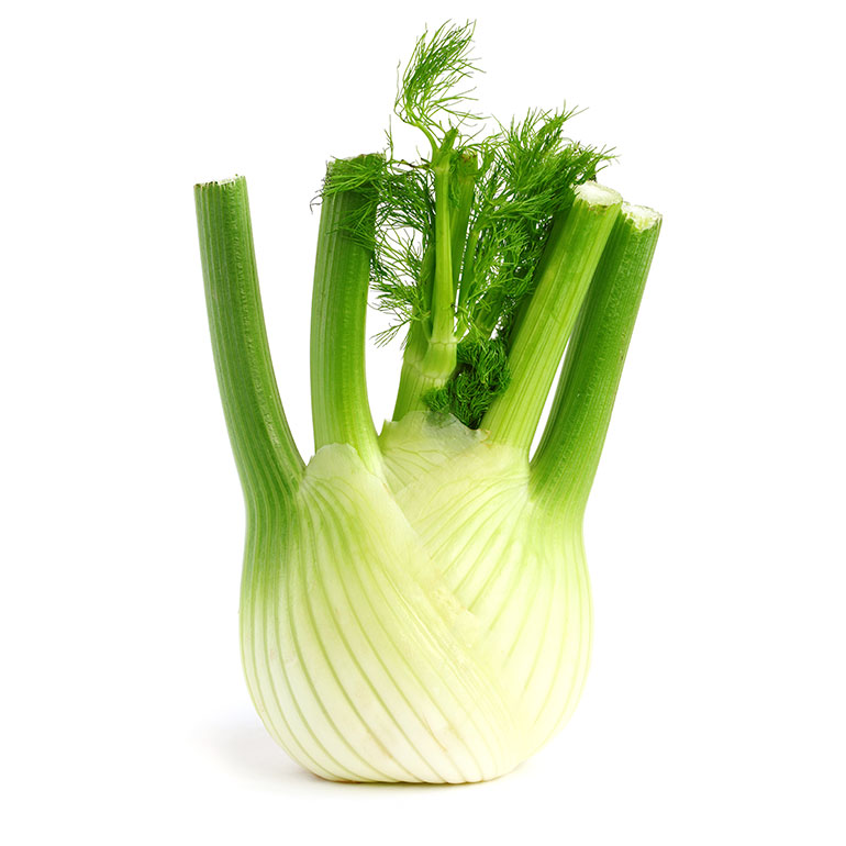 Nu in ‘t seizoen: venkel